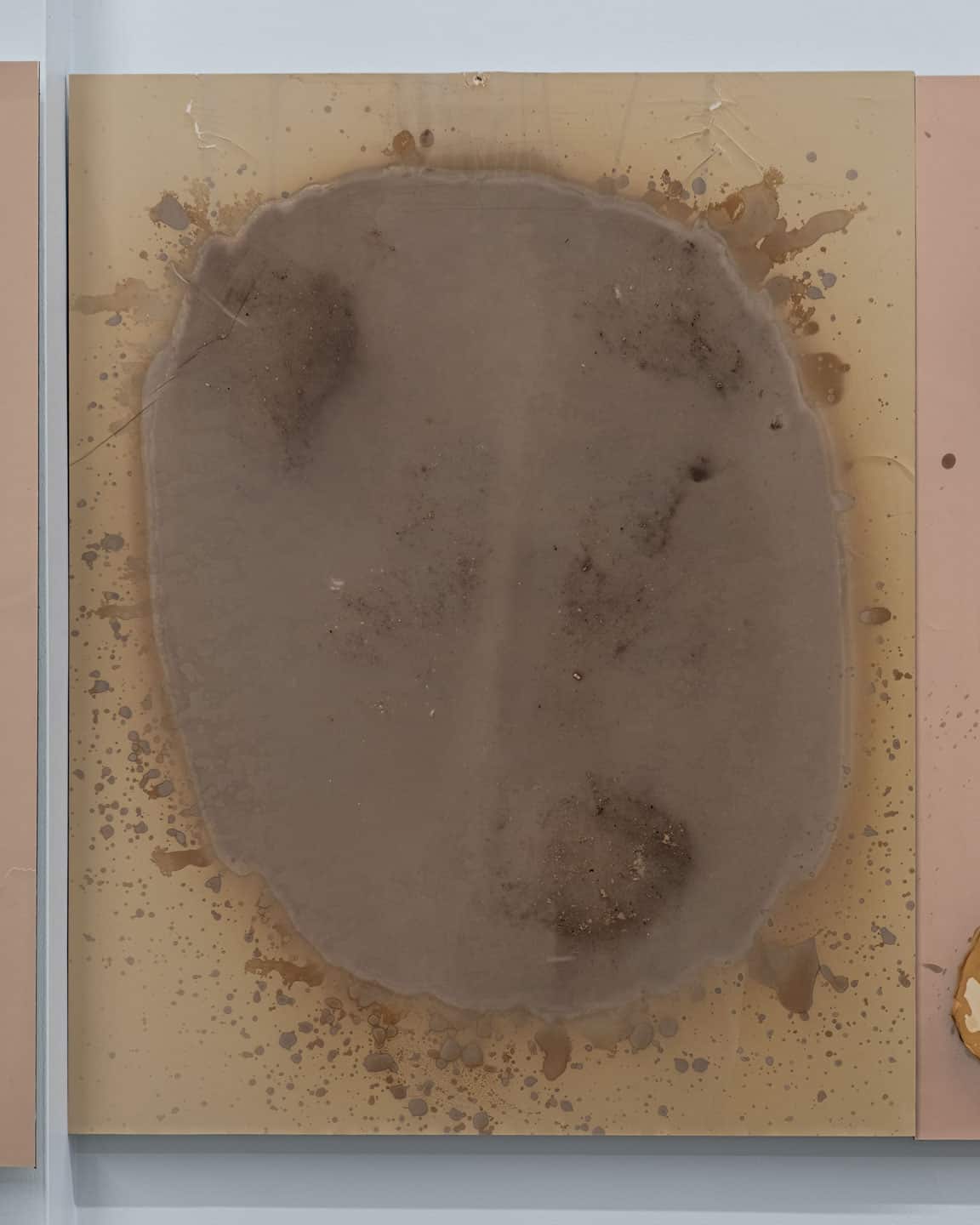 Solarity at NAMARA projects